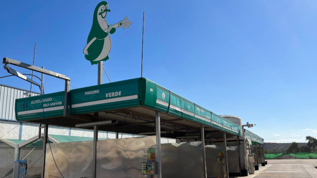 pinguinoVerde